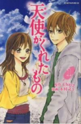 天使がくれたもの（全2巻）