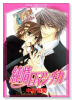 純情ロマンチカ（～30巻）